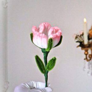 Rose éternelle blanche aux reflets rose