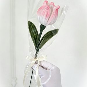Tulipe éternelle blanche rosée